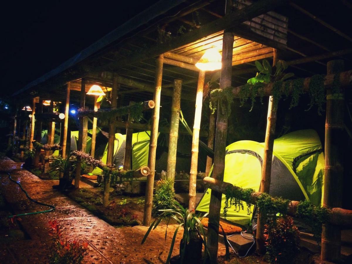 Dear Traveller Guest House And Glamping Lumajang Exterior photo